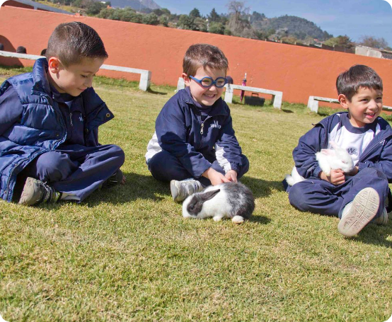 preescolar-bilingue-en-ciudad-de-mexico-granja-img