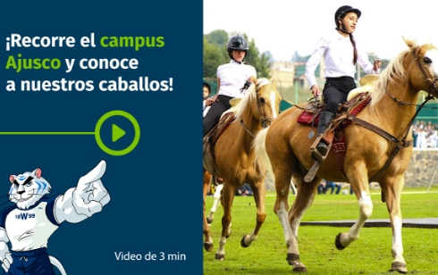 colegio-williams-campus-ajusco