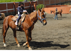 Mejor Primaria de México - Alumnos de Equitación - CW