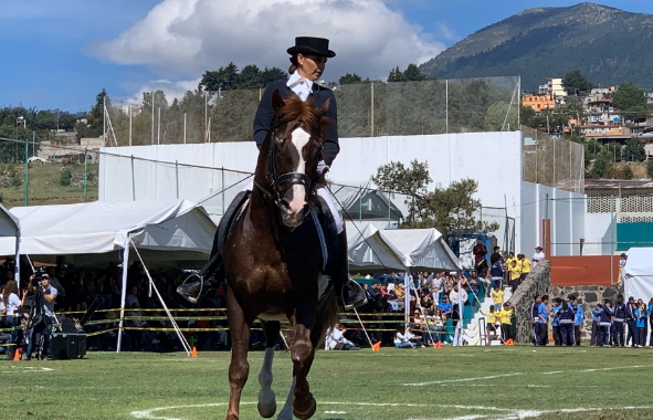 colegio-williams-campus-ajusco-hipico